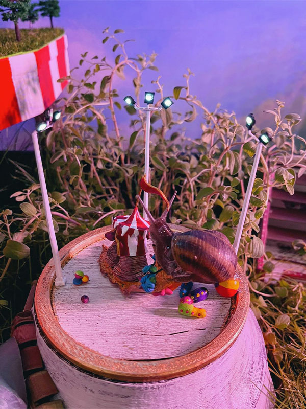 A snail on a barrel stage under miniature stadium lights, ringed by silicone plants